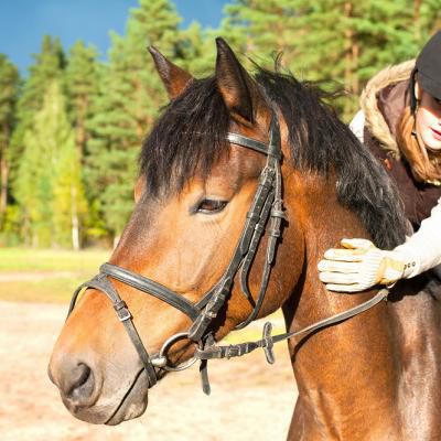 Covesnc Equestrian Girl