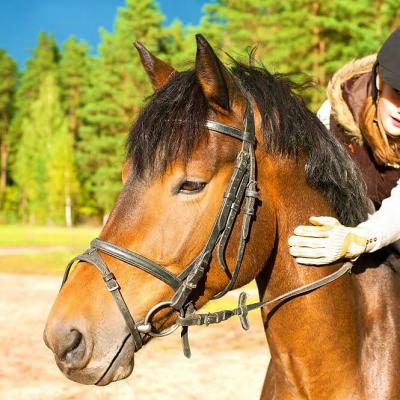 Covesnc Equestrian Girl1