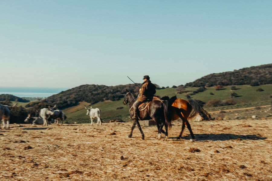 Agriturismo La Scaglia